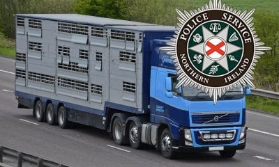 Livestock Lorry