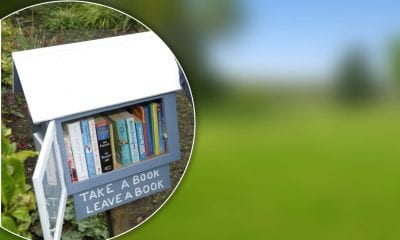 Little Library ABC Council