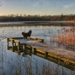 Loughgall Country Park by Tina Sterritt-Coulter