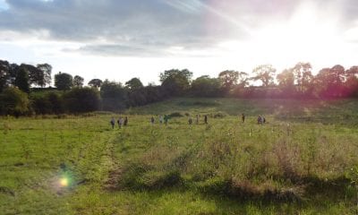 Seppy’s Wood in Co Armagh.