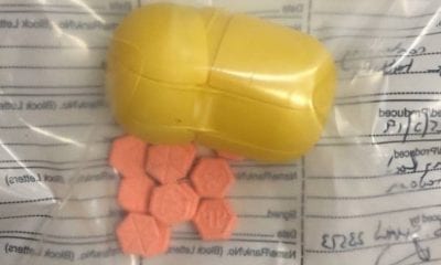 Drugs find Portadown