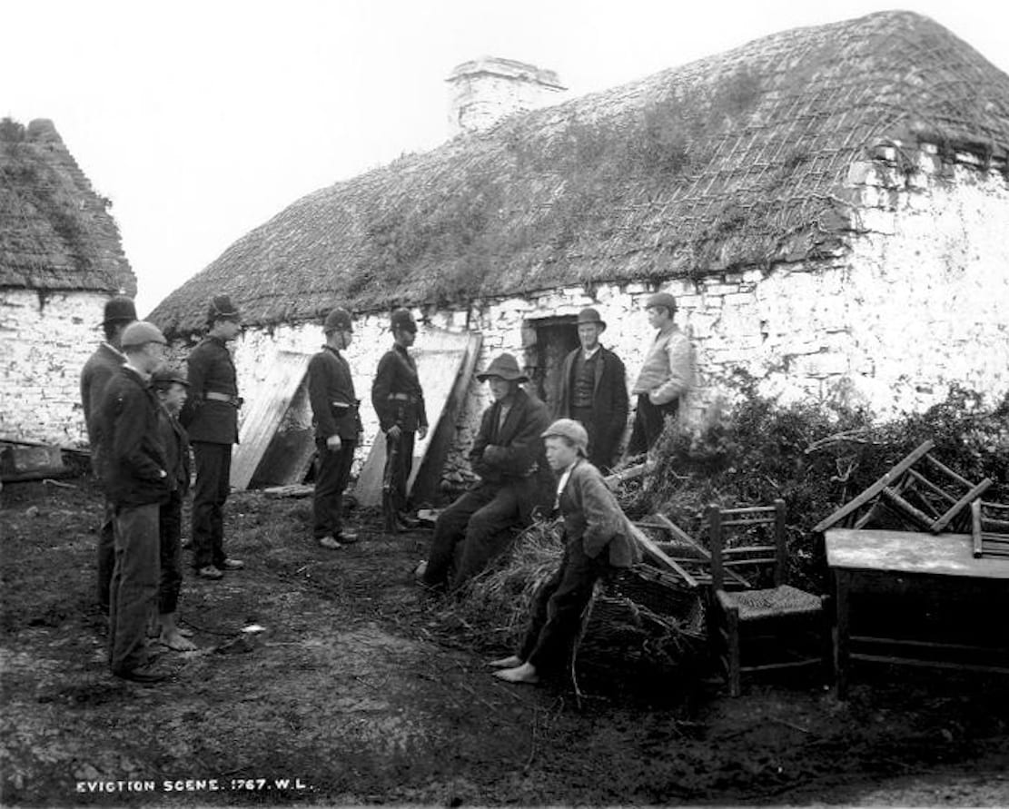 Irish potato famine