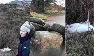 Oonagh Magennis on fly-tipping