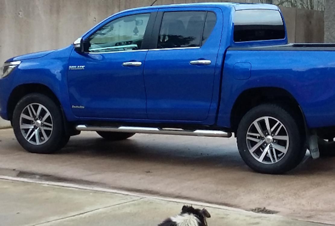 Stolen Toyota Hilux Keady