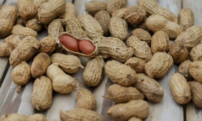 peanuts