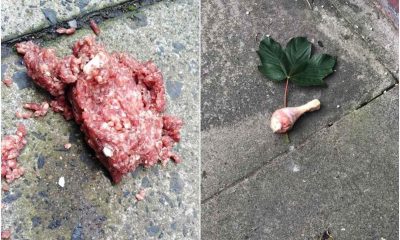 Meat laced with tablets Lurgan