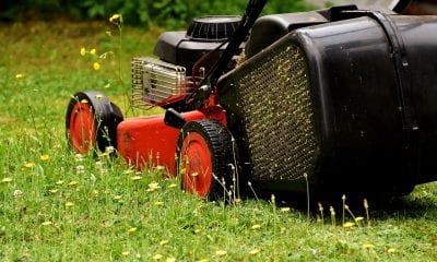 Lawn mower cutting grass