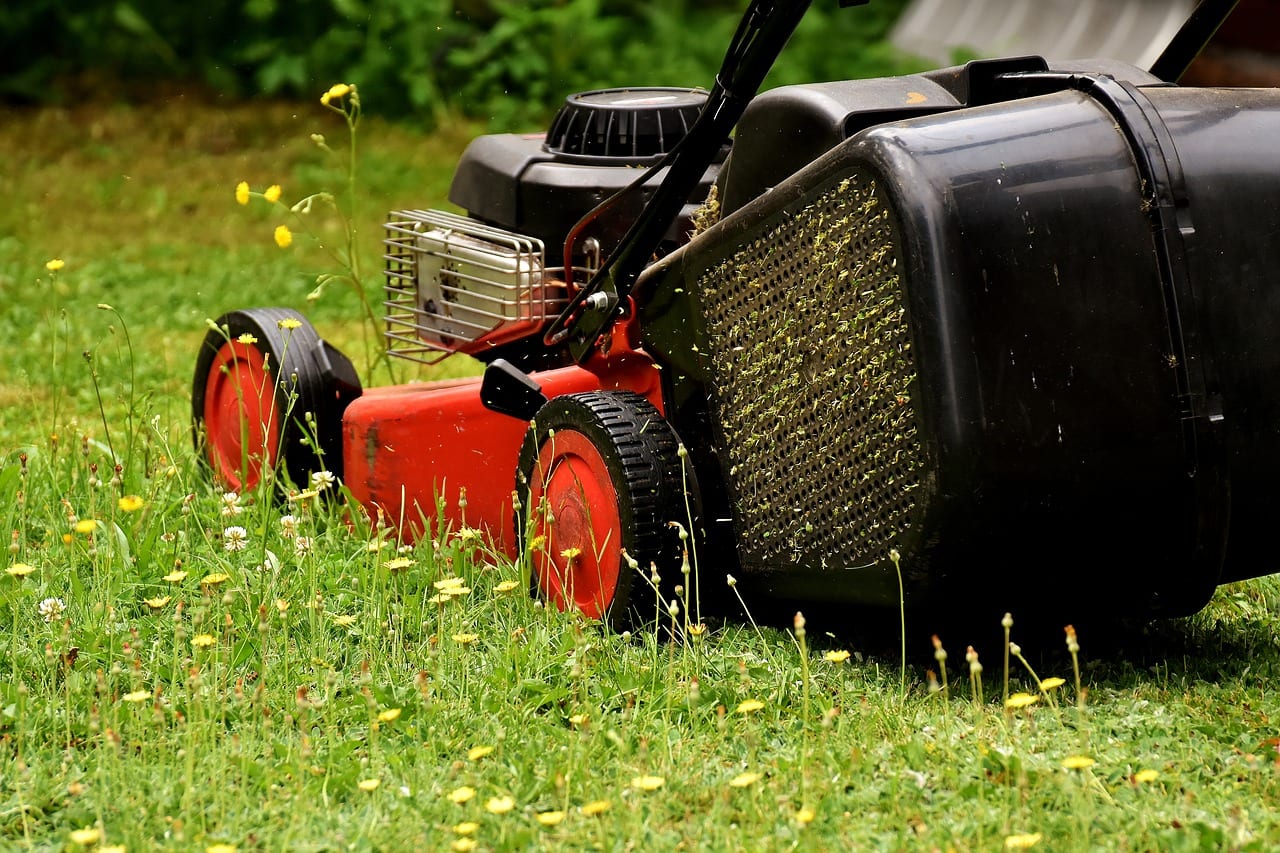 Lawn mower cutting grass