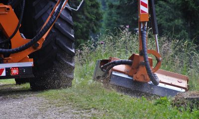 grass cutting