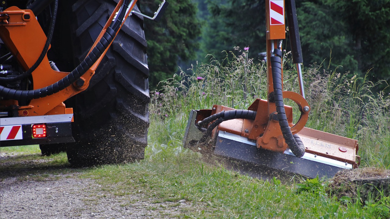 grass cutting