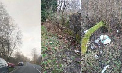 Carnagh Forest parking