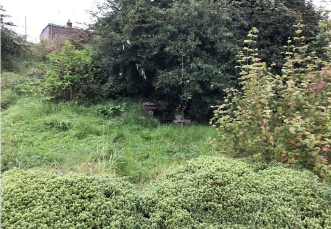 St Patrick's Well, Armagh