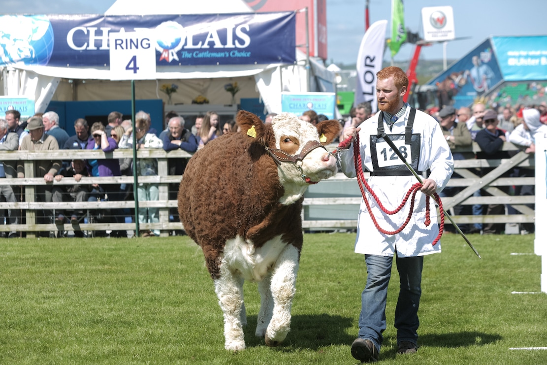 Balmoral Show