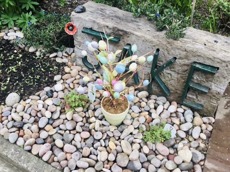 Councillor Julie Flaherty's garden tribute to son Jake