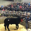 Markethill Mart