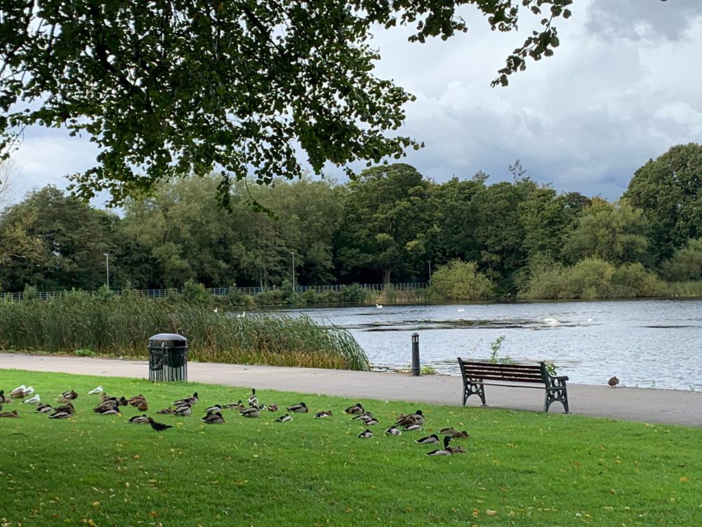 Lurgan Park