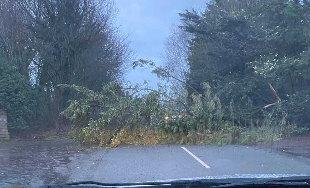 Markethill tree down