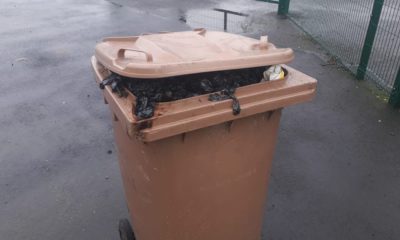 Newry bin stench