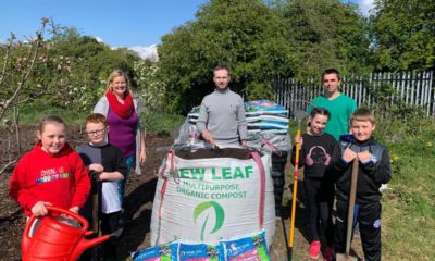 St Francis allotments Lurgan