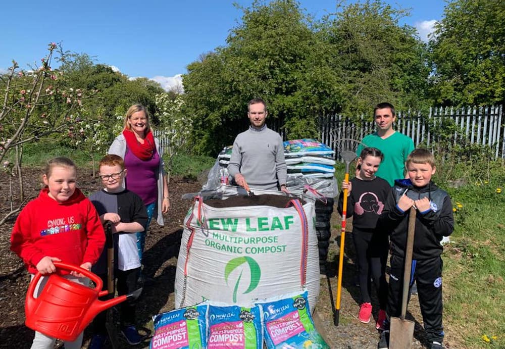 St Francis allotments Lurgan