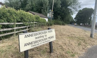 Annesborough in Lurgan