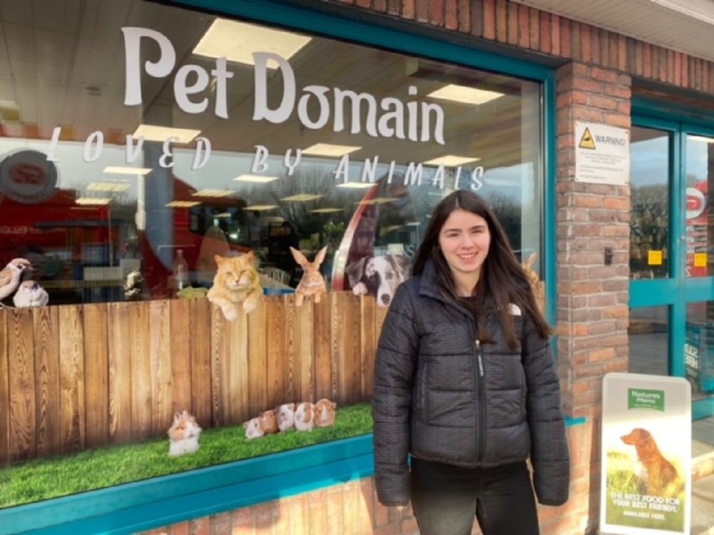 Pet Domain Rachelle