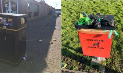 Dog fouling and waste bins litter