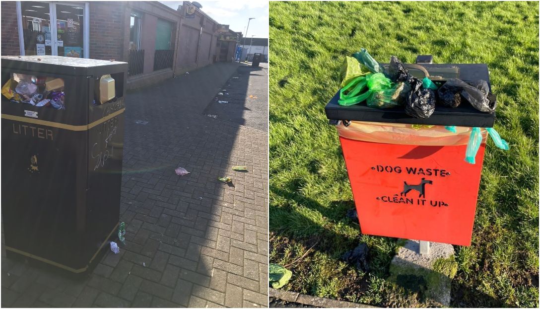 Dog fouling and waste bins litter