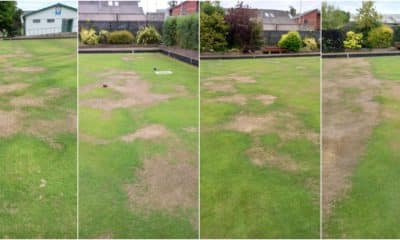 Portadown bowling green