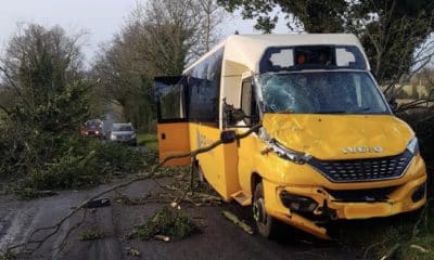 Trees falls on school bus in Richhill