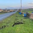 Chicken crash Tandragee