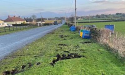 Chicken crash Tandragee