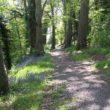 Huntly Wood, Banbridge