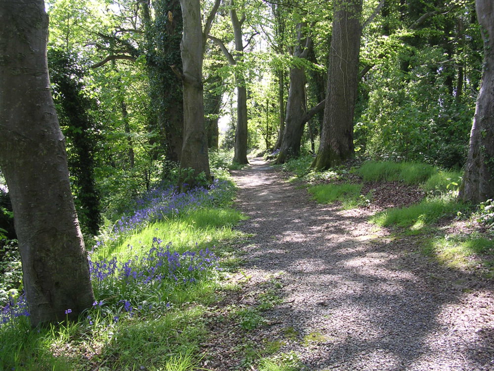 Huntly Wood, Banbridge