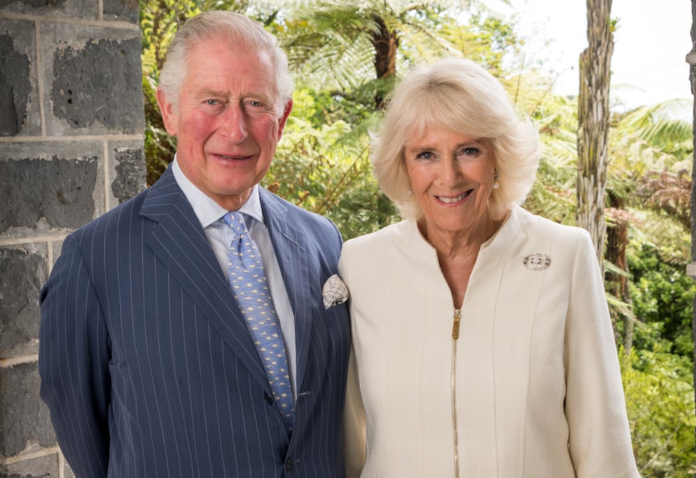 Official Portraits for the Prince of Wales and the Duchess of Cornwall November 18, 2019