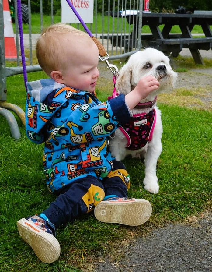 Little Albie Bloomer makes friends with Rosie, who enjoys a nose rub!