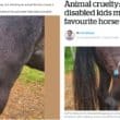 Social media post falsely claiming a horse was stabbed by a dart locally