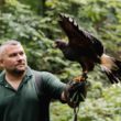 Bird Fair Tannaghmore Gardens in Craigavon