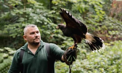 Bird Fair Tannaghmore Gardens in Craigavon