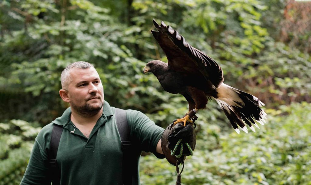 Bird Fair Tannaghmore Gardens in Craigavon