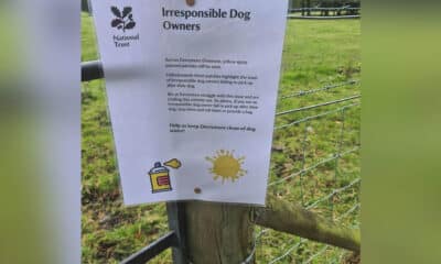 Derrymore dog fouling