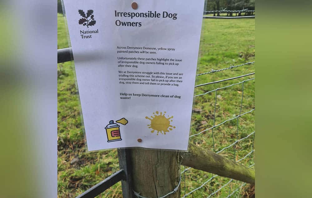 Derrymore dog fouling