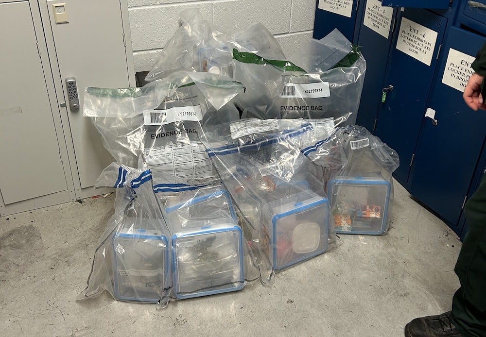 Silverbridge drugs seizure