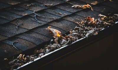 Gutter filled with leaves