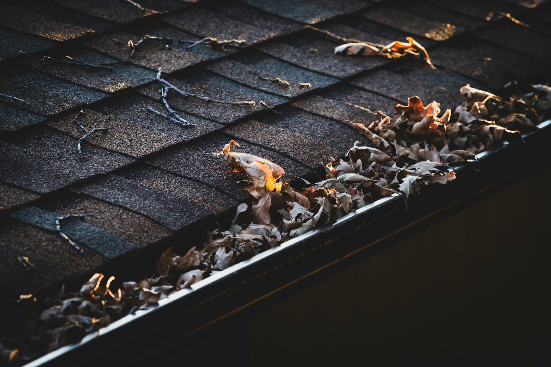 Gutter filled with leaves