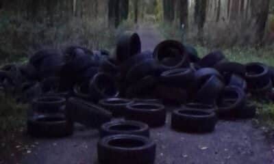 Tyres dumped in Gosford Forest Park