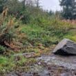 Flytipping in Clady