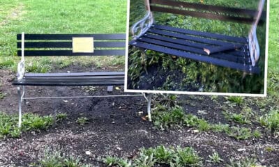 Memorial bench in Armagh